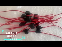 ผู้ถือฟิวส์